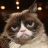 Grumpycat