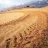 trailfanatic